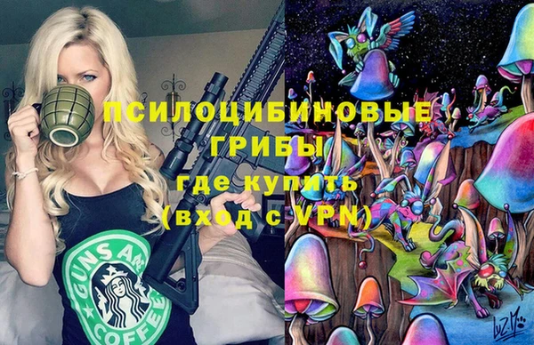 а пвп мука Алзамай