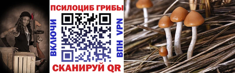 Галлюциногенные грибы прущие грибы  гидра ссылки  Новоаннинский  как найти закладки 